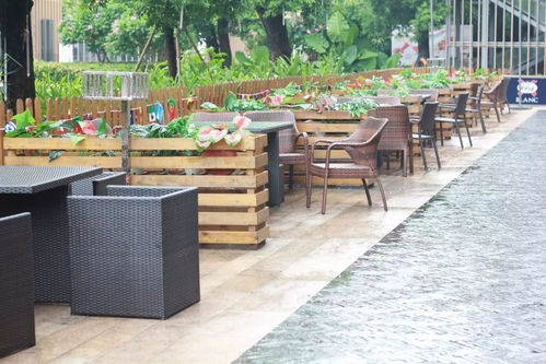 出境旅游，大使館能為你做什么？