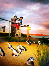 十一出境游長線產品上市熱賣，揚子旅游引領熱潮