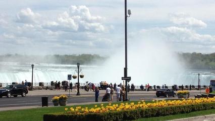 從重慶出發，開啟美加東西海岸奇幻之旅 探索巧克力工廠與仙人掌公園的異國風情